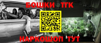 jwh Нальчик