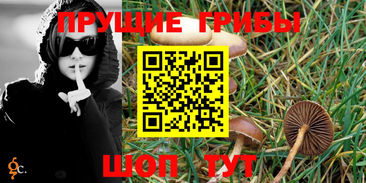 Псилоцибиновые грибы MAGIC MUSHROOMS  Псилоцибиновые грибы MAGIC MUSHROOMS  Реутов  Вход с VPN 