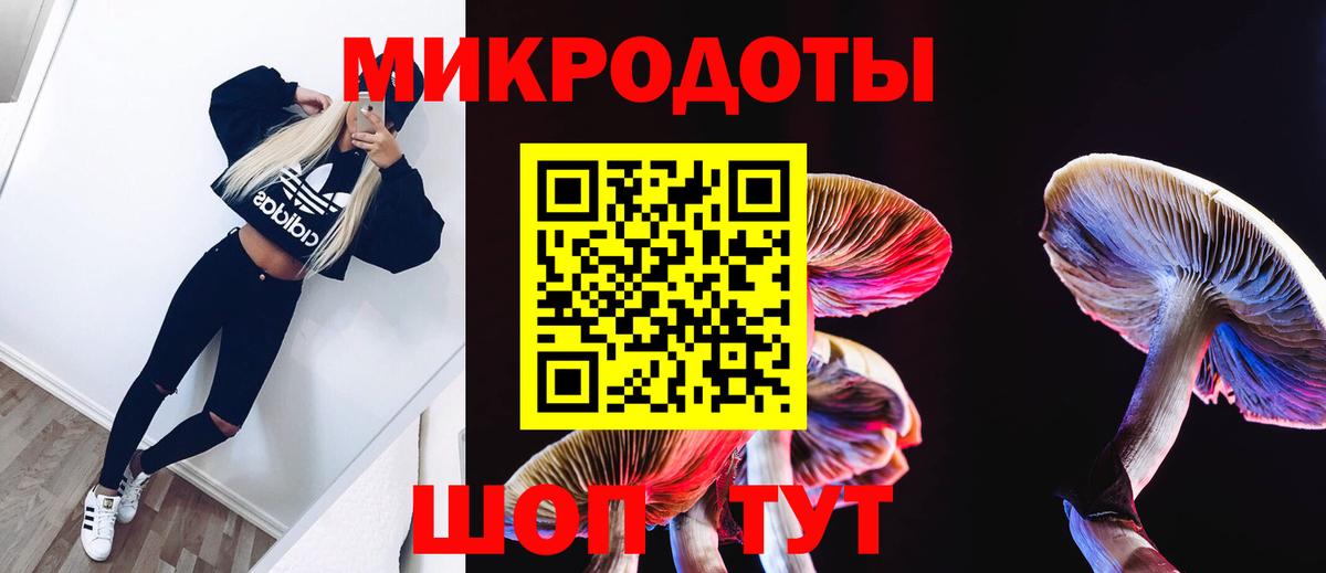 Галлюциногенные грибы Cubensis Реутов